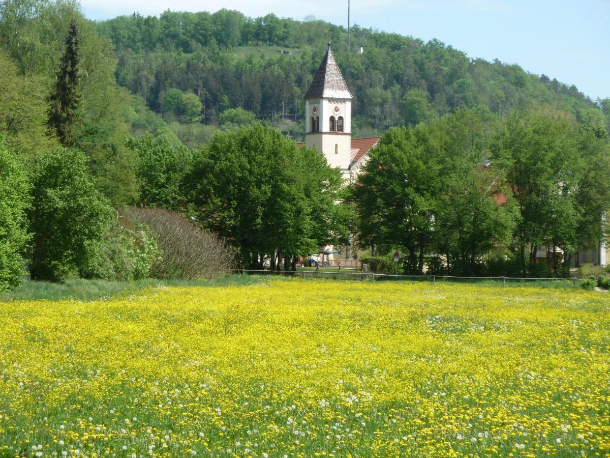 Ferienwohnung Zur Altmuehl Папенхайм Екстериор снимка